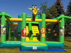 Würden Sie wirklich aufgrund der Größe eines aufblasbaren Schlosses wählen?