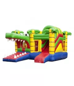 Hüpfburg Mit Rutsche